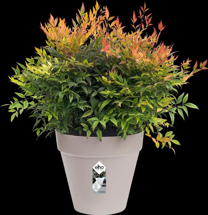 Actual product image Elho Loft Urban (19.30 cm)