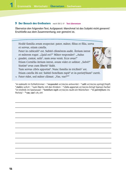 Produktbild Pontes 1. Das Trainingsbuch zum Schulbuch (Deutsch, MariaAnna, Söllner, 2014)