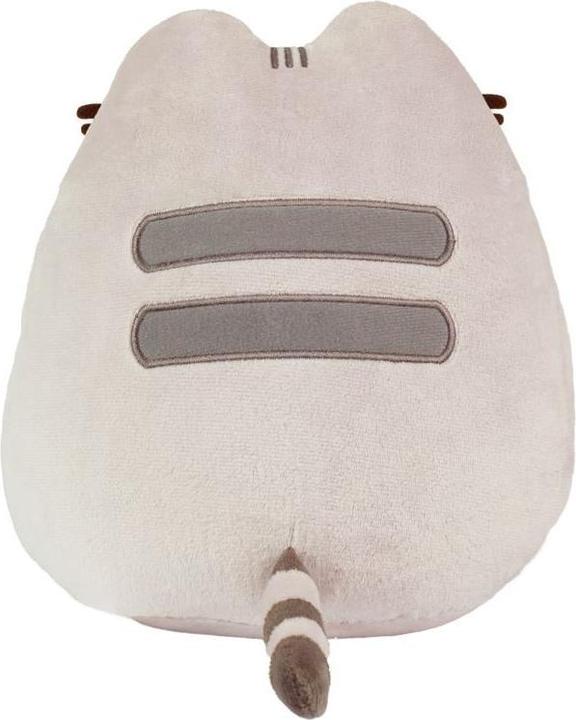 Actual product image Pusheen pizza (24.24 cm)
