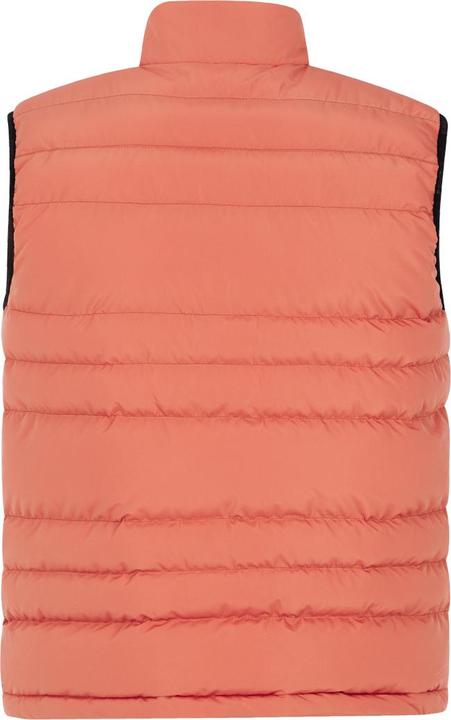 Image du produit Protest Bodywarmer Bramptoon (L)