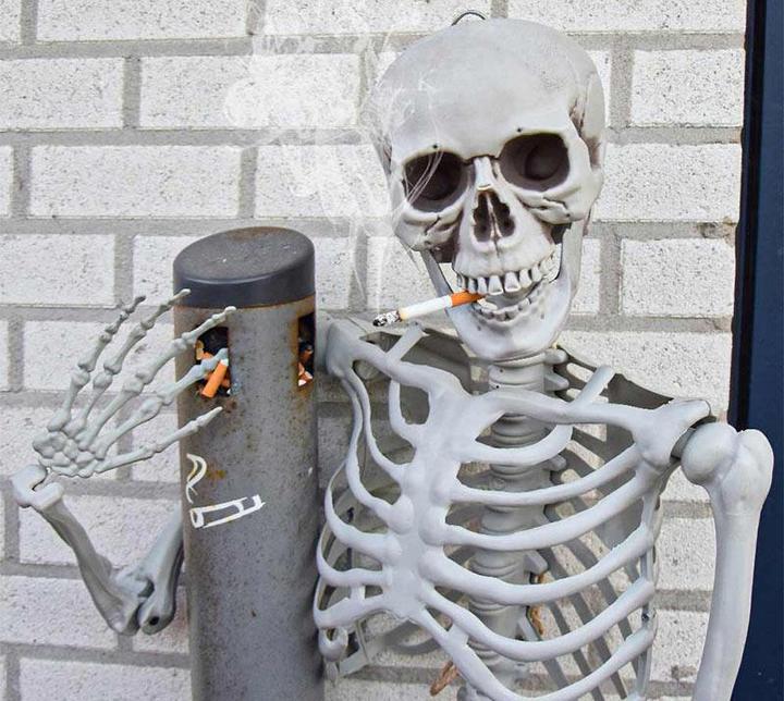 Actual product image TOP Life size skeleton