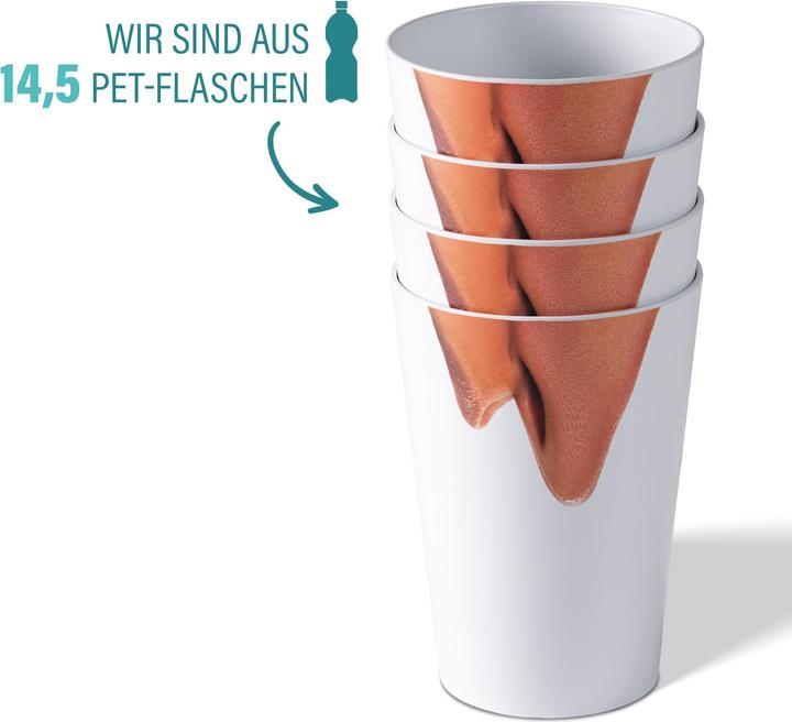 Actual product image Awave 4-piece festival cup set, 400 ml, rPET, with calibration mark and spacer, nose motif (0.40 l, 4 x)