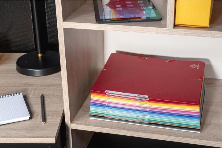 Actual product image Exacompta Folder (A4, 1 x)