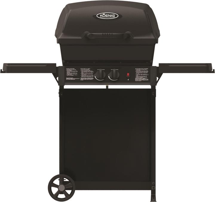 Produktbild Koenig Patio Pro 220 (7.30 kW)