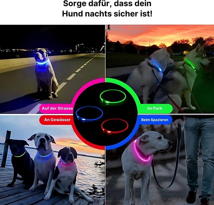 Produktbild Hermex LED-Leuchthalsband Sicherheits-Hundehalsband Hundehalsband Schlauchhalsband (Hund, Allgemein, Hundesport)