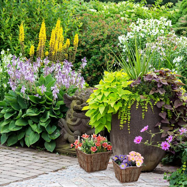 Actual product image Relaxdays 3-piece flower pot set (27 cm)