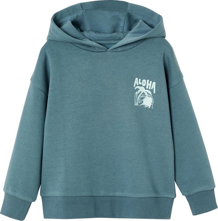Image du produit Vertbaudet Jungen Kapuzensweatshirt mit Print, Recycling-Polyester Basic (92)