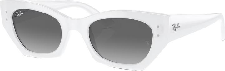Produktbild Ray Ban ZENA RB4430 grey on white snow S
