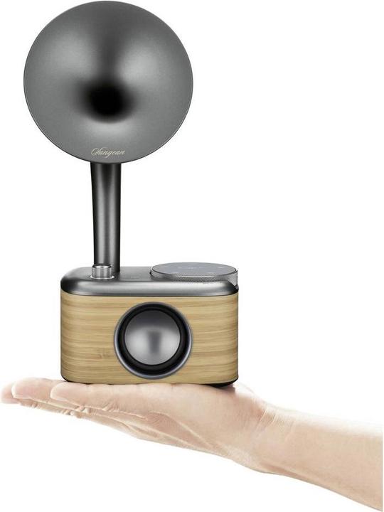 Actual product image Sangean CP 100D (DAB+, DAB, FM, Bluetooth)