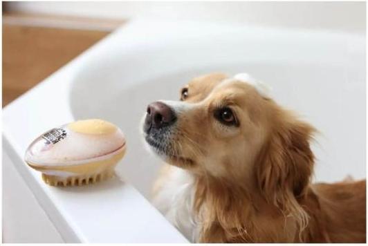 Produktbild Kerbl Badebürste (Hund, Katze)