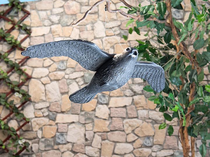 Image du produit Royal Gardineer Effaroucheur d'oiseaux "Faucon" à suspendre