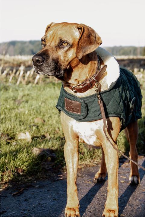 Produktbild Kentucky Dogwear Hundemantel 160g (M, Hundemantel)