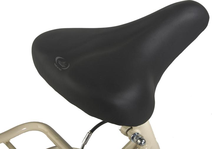 Image du produit Hollandia Vélo Hollandais Femme 28" City Next RH 50 cm 6 vitesses (50 cm)