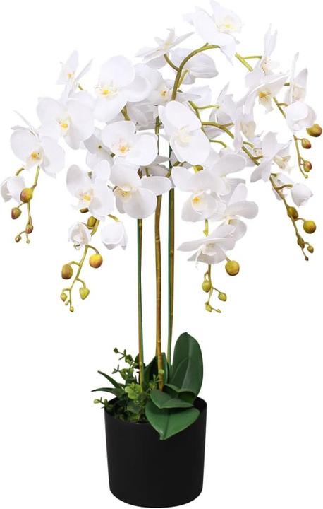 VidaXL Orchidee (75 cm)