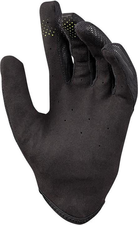 Actual product image iXS carve (L)