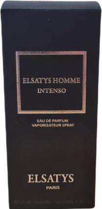 Produktbild Reyane Tradition Elsatys Homme Intenso EDP 100ml (Eau de Parfum, 100 ml)