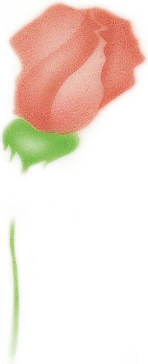 Image du produit Martellato Pochoir Airbrush Rose et cadeau