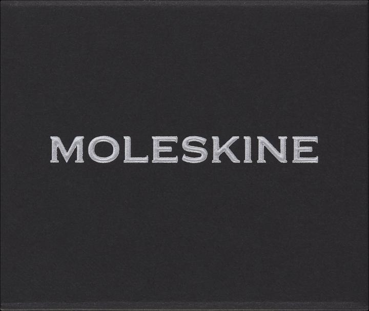 Immagine prodotto Moleskine Spilla Lettera N Argento (Nessuna rilegatura)
