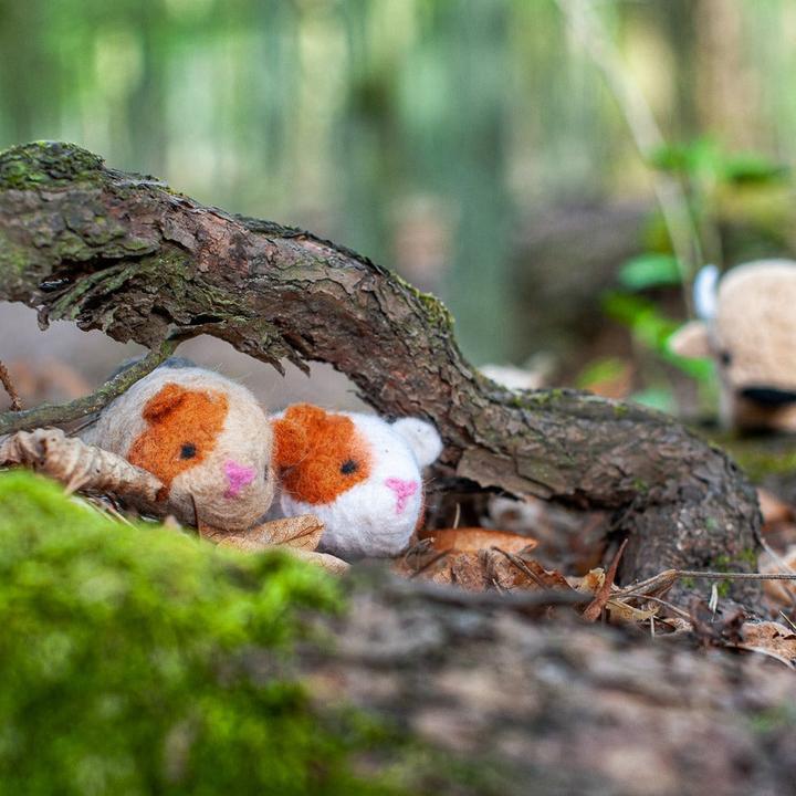 Actual product image Agna Wool Guinea pig - felt craft kit