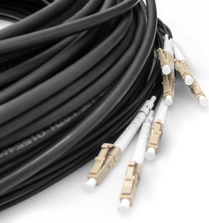 Actual product image Digitus Pre-assembled Fiberglass Universal Breakout Cable, Multi Mode OM4, 8 Fibers, LC/UPC - LC/UPC (LSOH, 50 m)