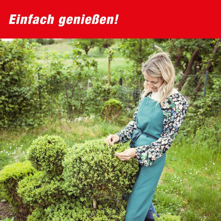 Actual product image Swissinno Buchsbaumzünsler-Falle inkl. 1x Pheromon