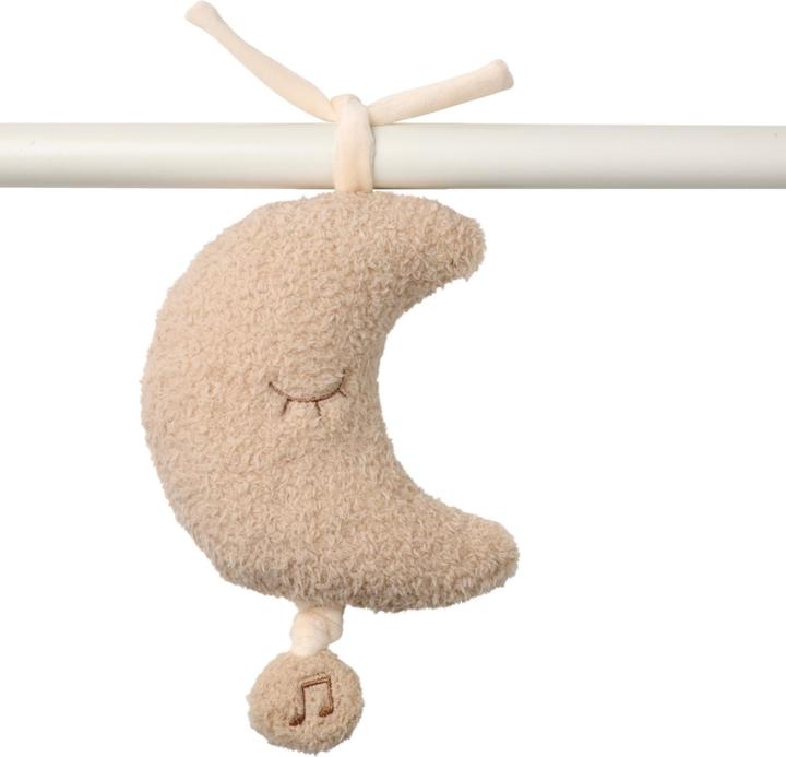 Actual product image Nattou Teddy moon