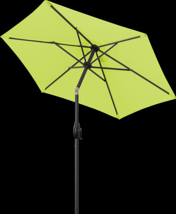 Actual product image Derby Basic Lift Neo (1.80 m)