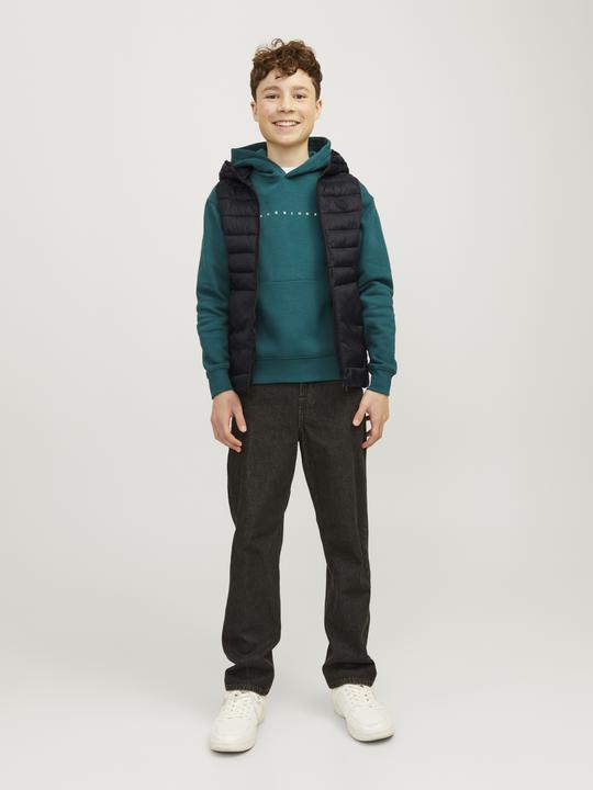 Actual product image Jack & Jones Puffer waistcoat Mini puffer waistcoat (122)