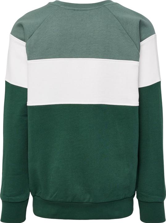 Actual product image hummel hmlCLAES SWEATSHIRT (110)
