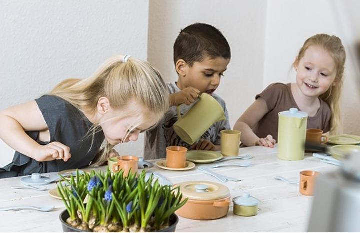 Produktbild dantoy Bio Essservice-Set