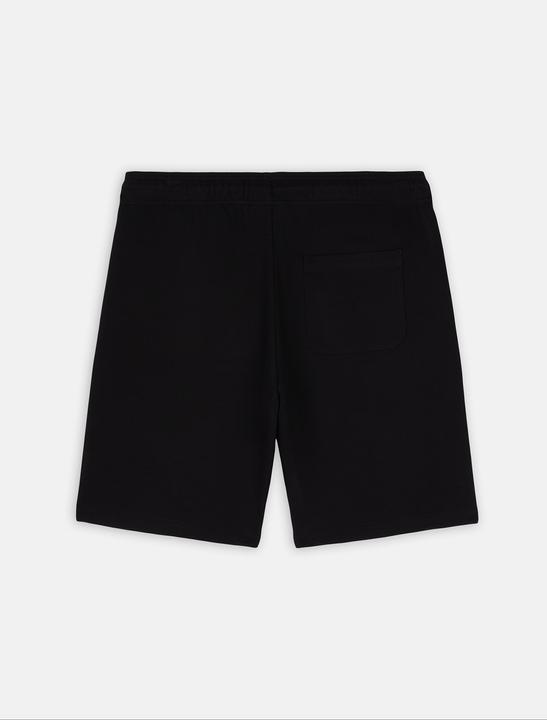 Produktbild Dickies Mapleton Shorts - 121655 (M)