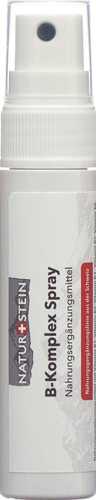 Naturstein Vitamin Spray B-Komplex (1 Stück, Spray, 41 g)