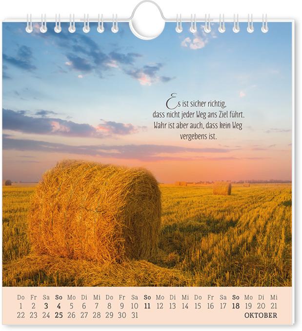Produktbild Postkartenkalender 2026 Lebenszeichen (16 x 17 cm, Deutsch)