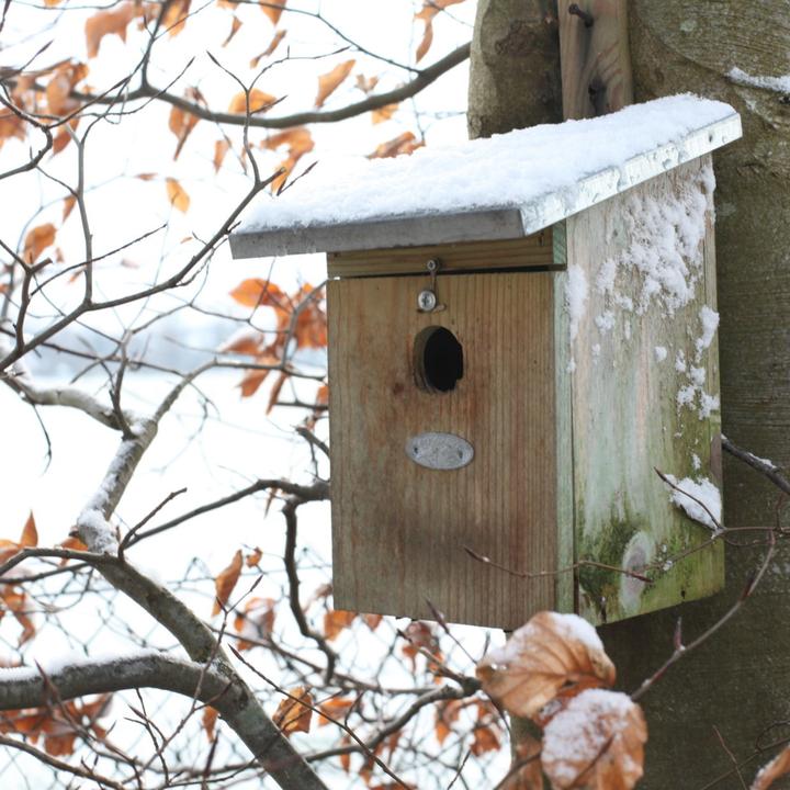 Produktbild Westfalia Kohlmeisen Nistkasten