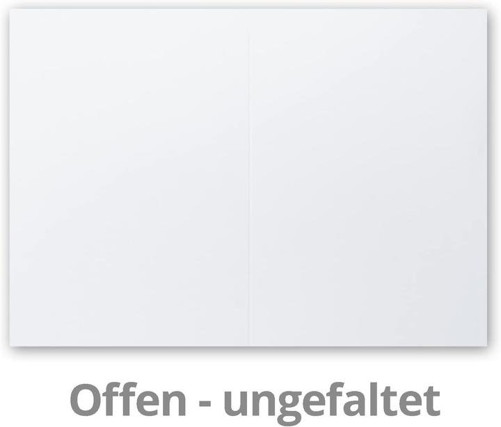 Image du produit Neuser Papier 100 Faltkarten DIN A5 Blanko (100 pcs)