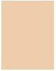 Immagine prodotto Sisley Phyto-Poudre Compacte (2 Naturale)