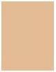 Immagine prodotto Shiseido Fond de Teint rivitalizzante n. 310 (Abbronzatura)