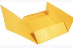 Actual product image Exacompta Folder (A4, 1 x)