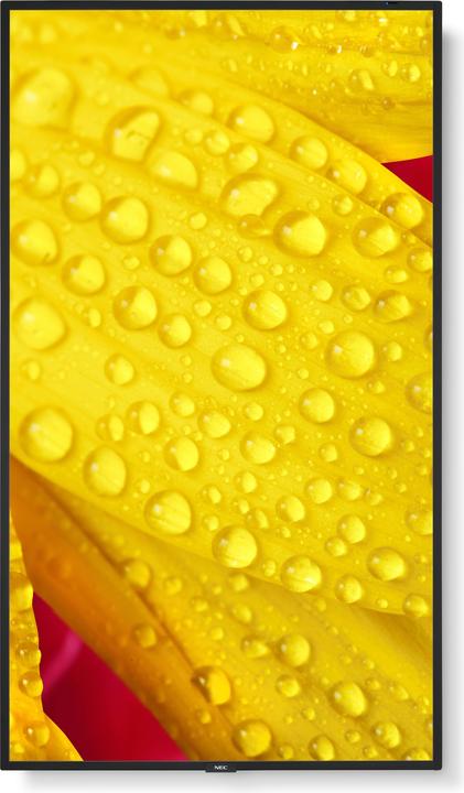 Actual product image Sharp M501-2 50IN UHD 500CD/SQM (3840 x 2160 Pixels, 50")