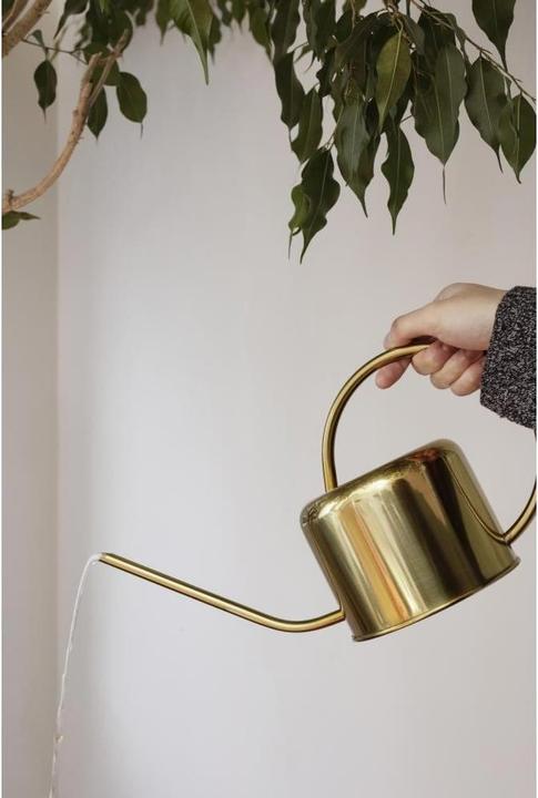 Actual product image Kikkerland Vintage Watering Can (1.20 l)