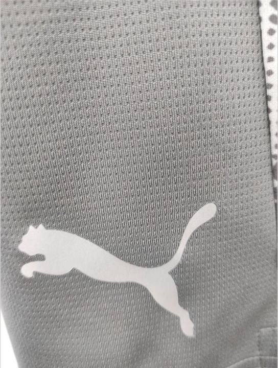 Actual product image Puma teamCUP Training Shorts (XL)