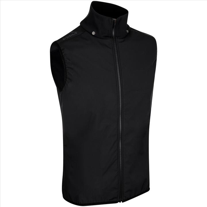 Image du produit Daehlie M Jacket Raw 5.0 (L)
