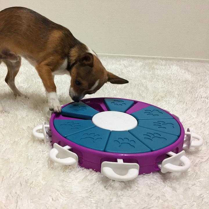 Actual product image Nina Ottosson Dog Twister (Intelligence toy dog)