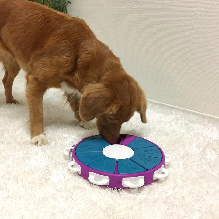 Actual product image Nina Ottosson Dog Twister (Intelligence toy dog)