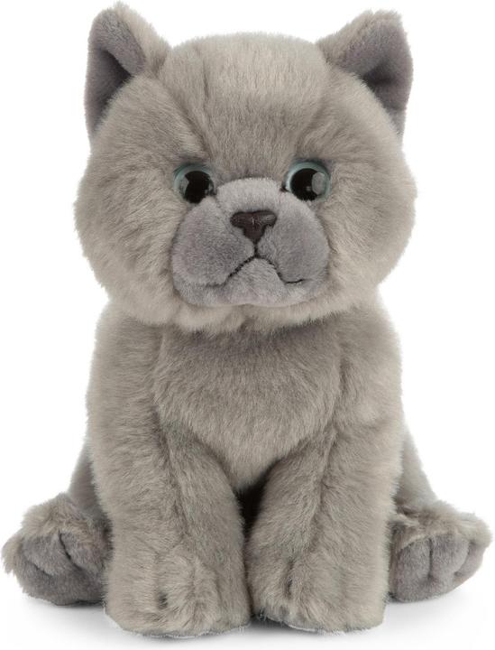 Immagine prodotto Living Nature Gattini British Grey Shorthair (16 cm)