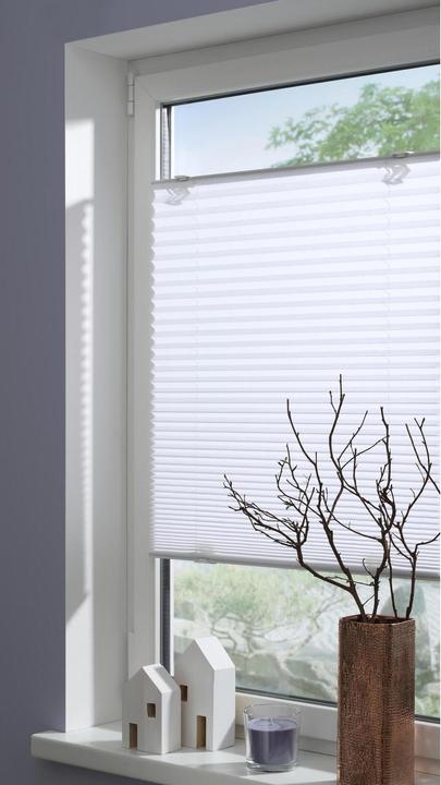 Image du produit Gardinia Solo (80 x 130 cm)