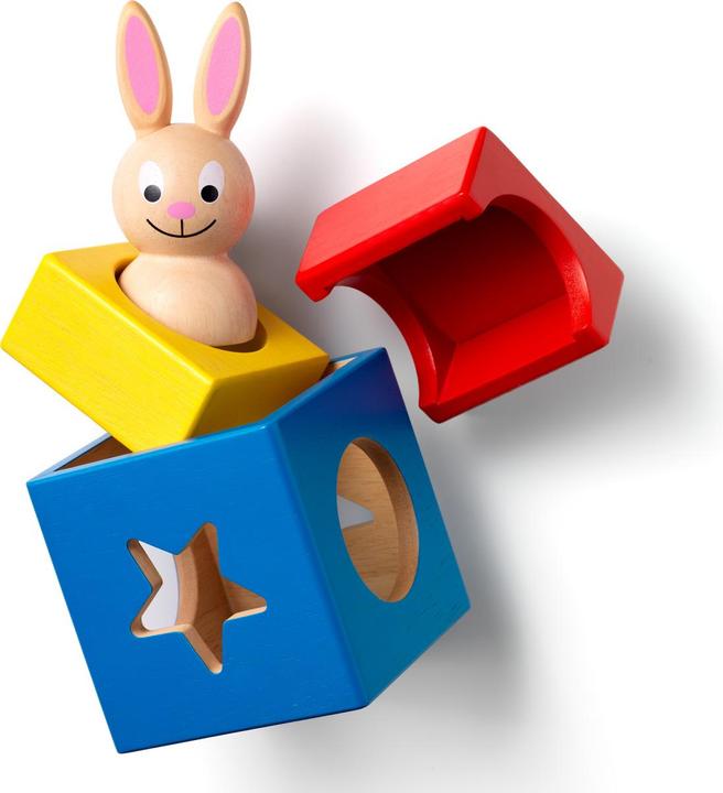Immagine prodotto Smart Games coniglietto boo (Tedesco, Francese, Italiano, Inglese)