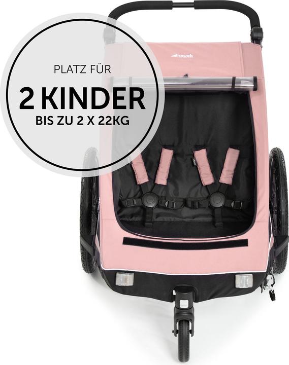Produktbild Hauck Dryk Duo Rose