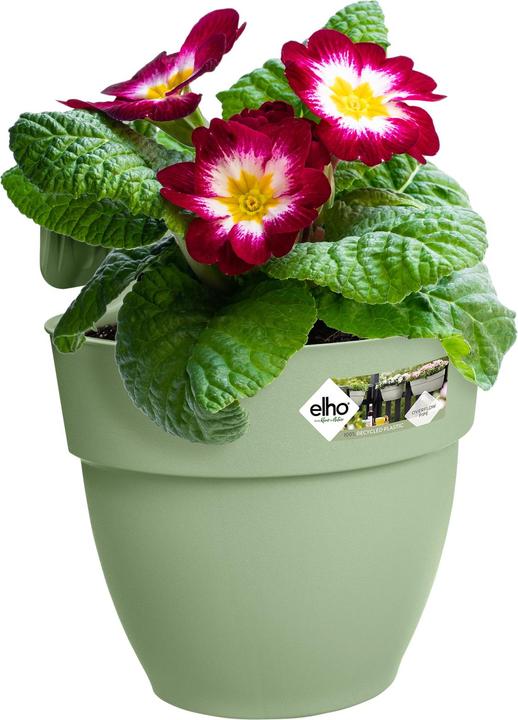 Produktbild Elho Vibia Campana Easy Hanger S (24 cm)