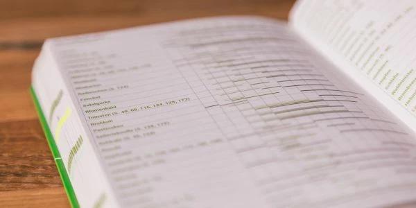Actual product image Grüner Faden - annual planner, life planner, guidebook - sustainable ideas for the whole year (A5, German)